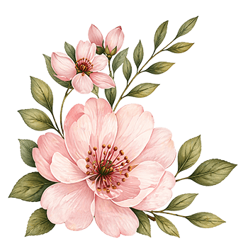 pink-flower